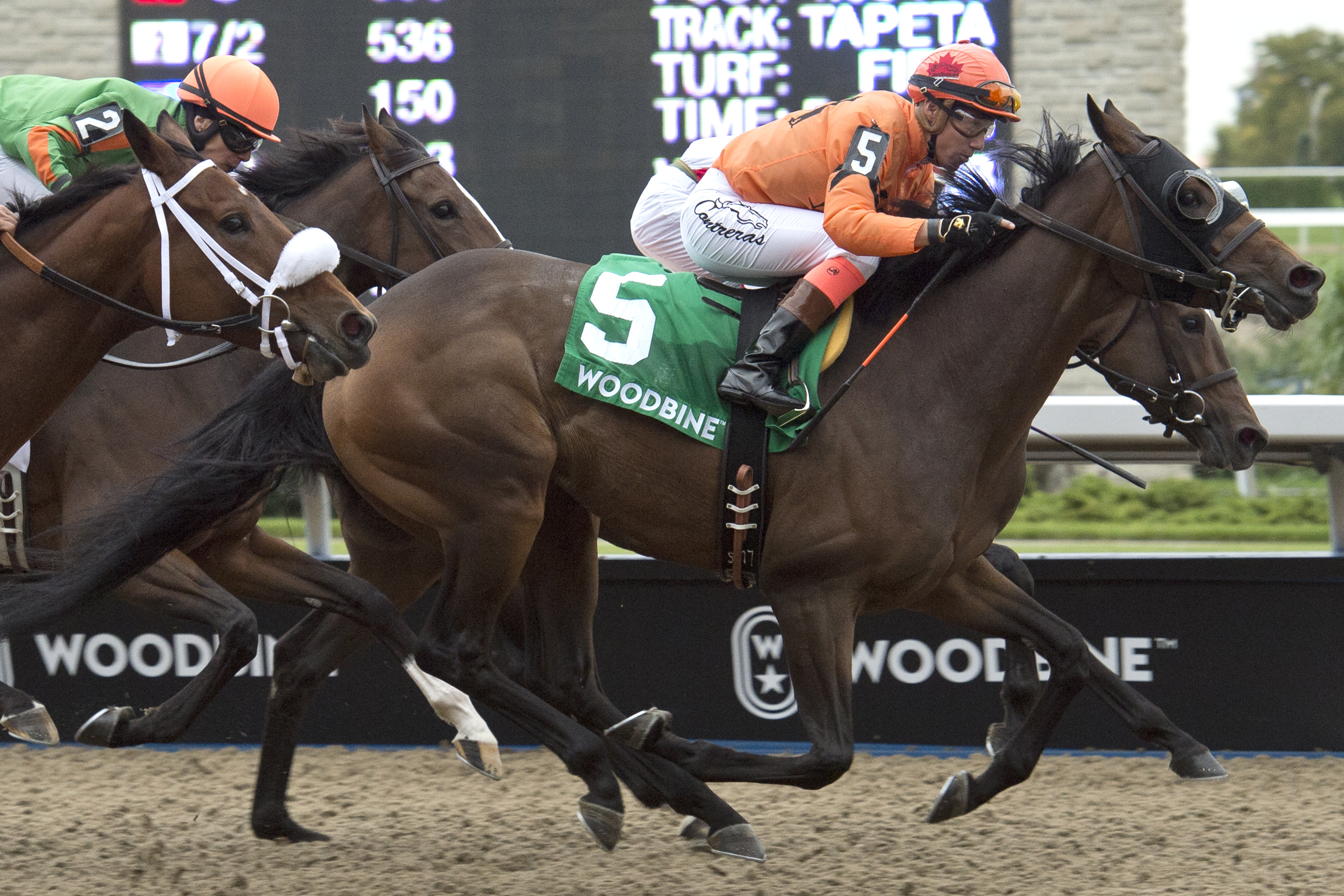 Bear Paw splits rivals to win Classy ‘n Smart Stakes