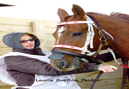Quarter Horse edition: the Horse that Changed my Life