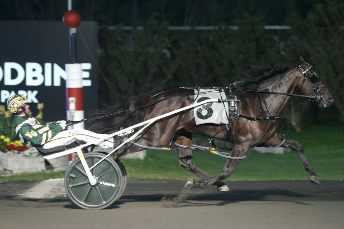 Tall Dark Stranger adds a Gold win to his collection