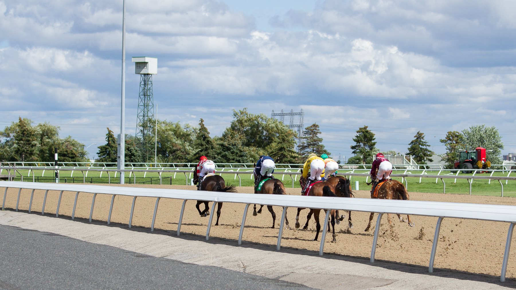 Have Your Say: OLG Horsepeople Survey