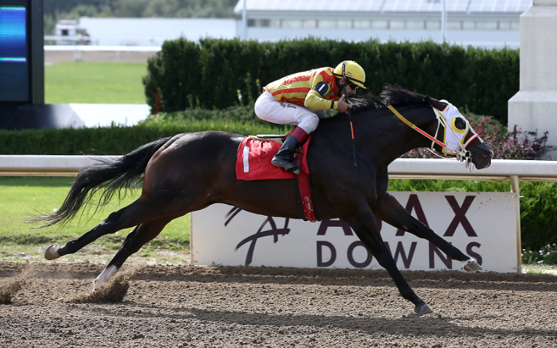 Alex Picov Futurity Trials and Country Boy 123 sets another track record