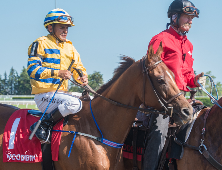 Eurico Rosa da Silva: Man with a (life) plan