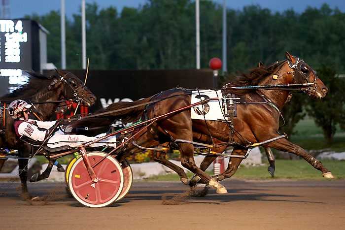 Field of characters to battle in Cup