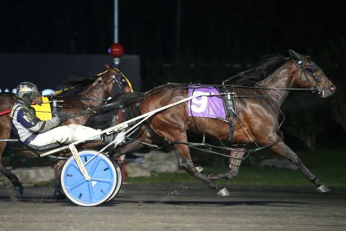 Round two of Niagara to Lyons Hedgeabet