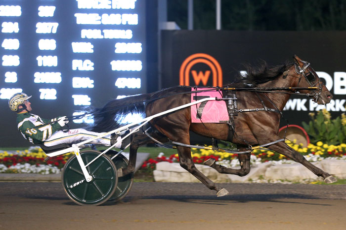 Tall Dark Stranger romps to second Gold win