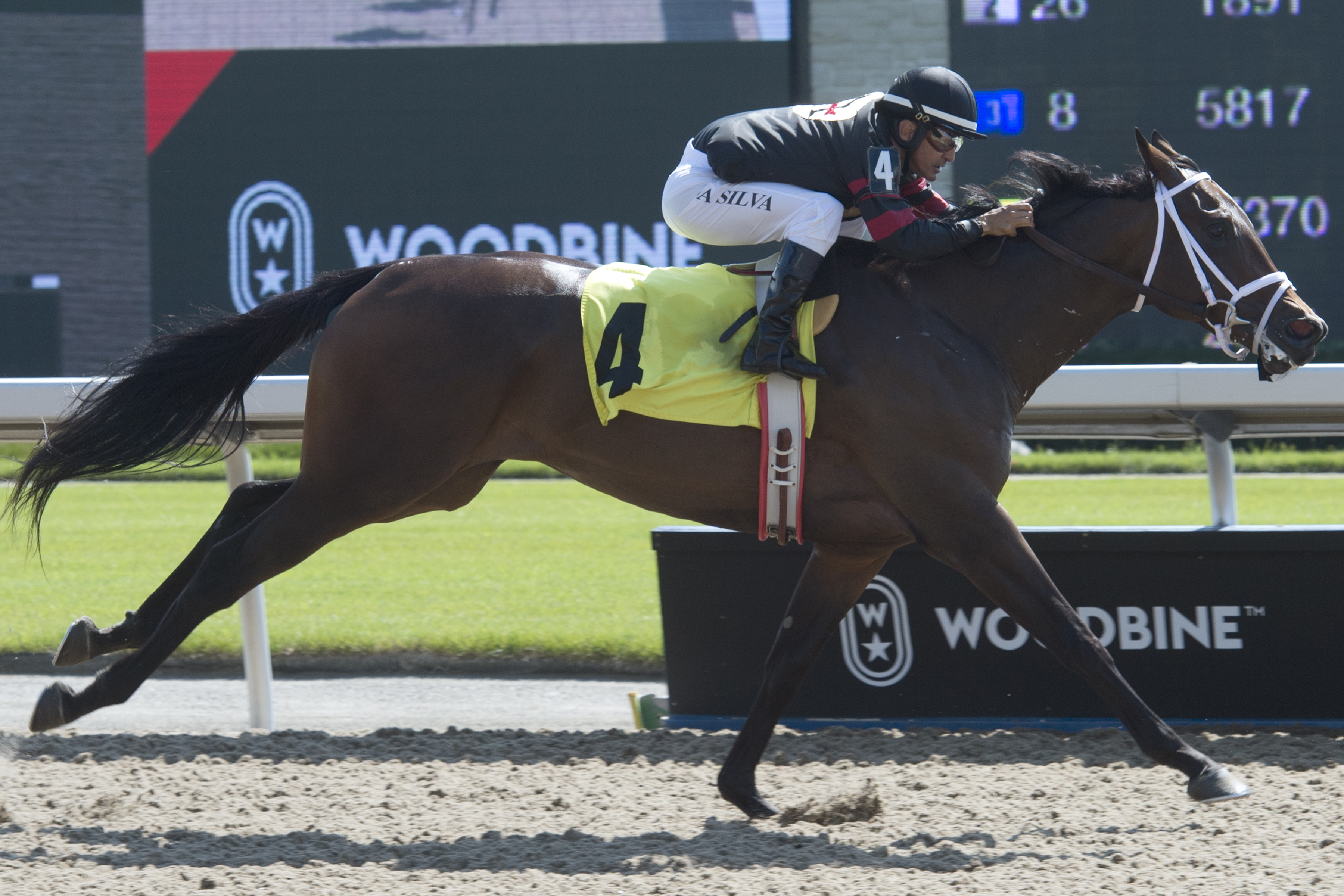 Intanga Rose goes for hat trick, first stakes win in Star Shoot