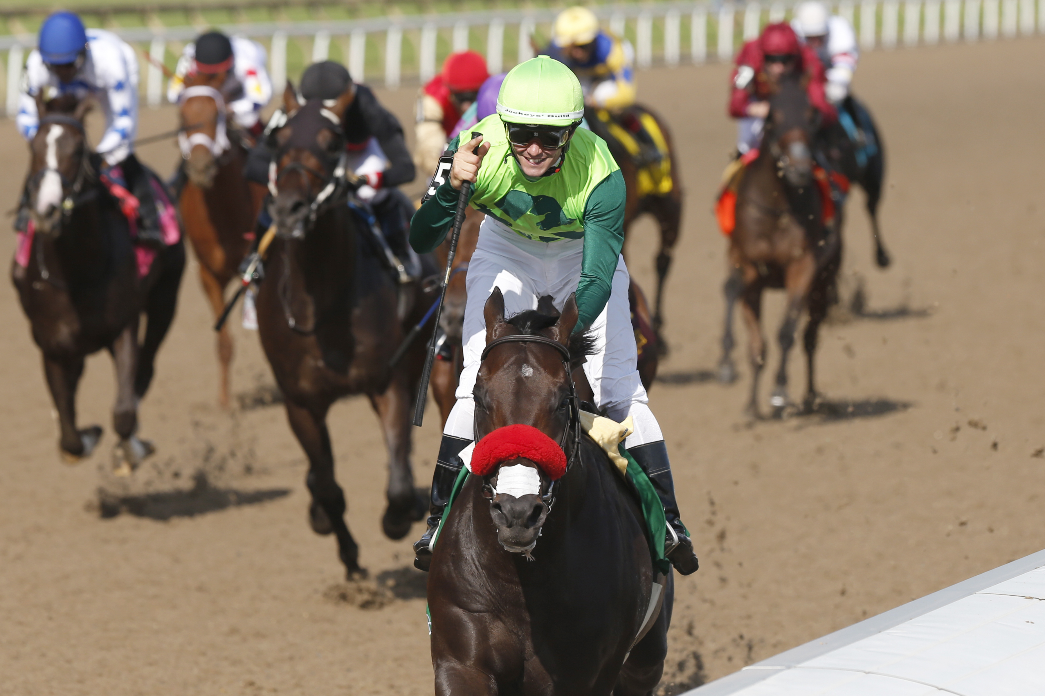 Five Contenders from Queen’s Plate to Rematch in the Prince of Wales Stakes