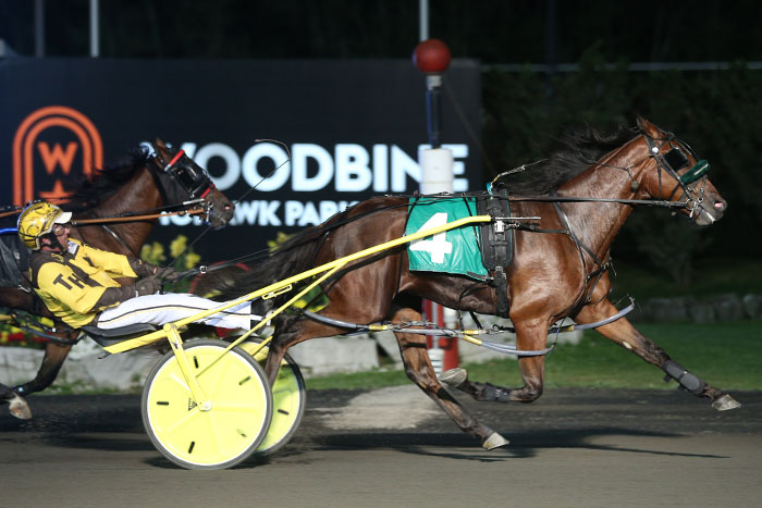 Freshman pacing colts sharp in third Grassroots Leg