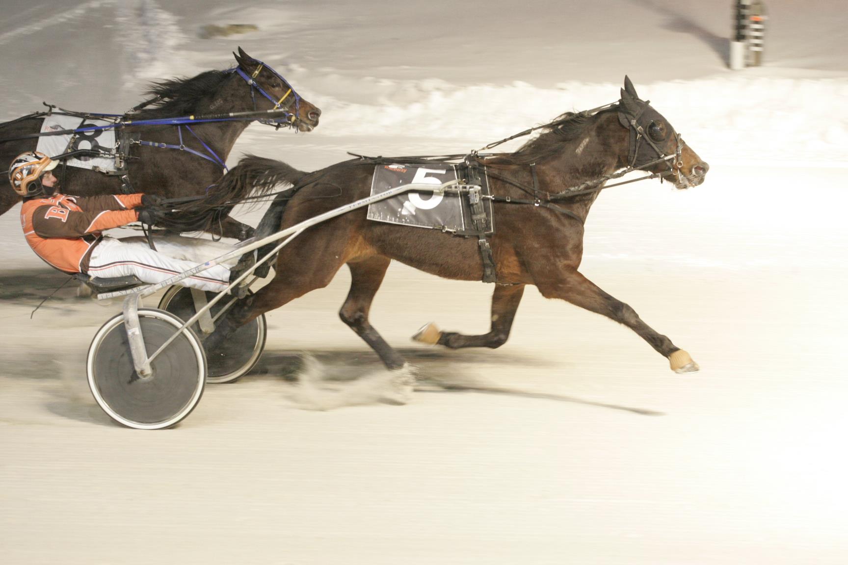 Weskey & Pacific Oak Retire On Top; Puddy Claims Trainers' Title