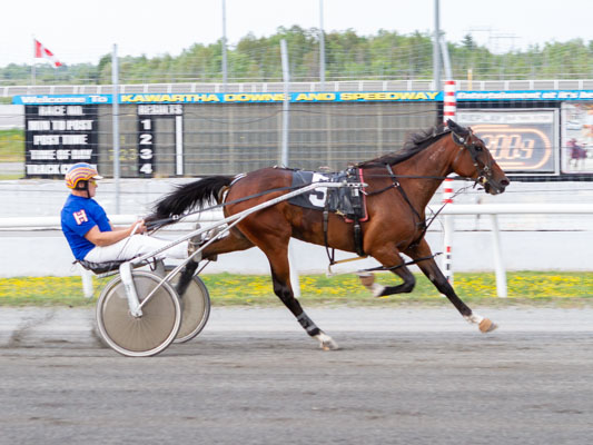 Local drivers dominate Grassroots action at Kawartha Downs 