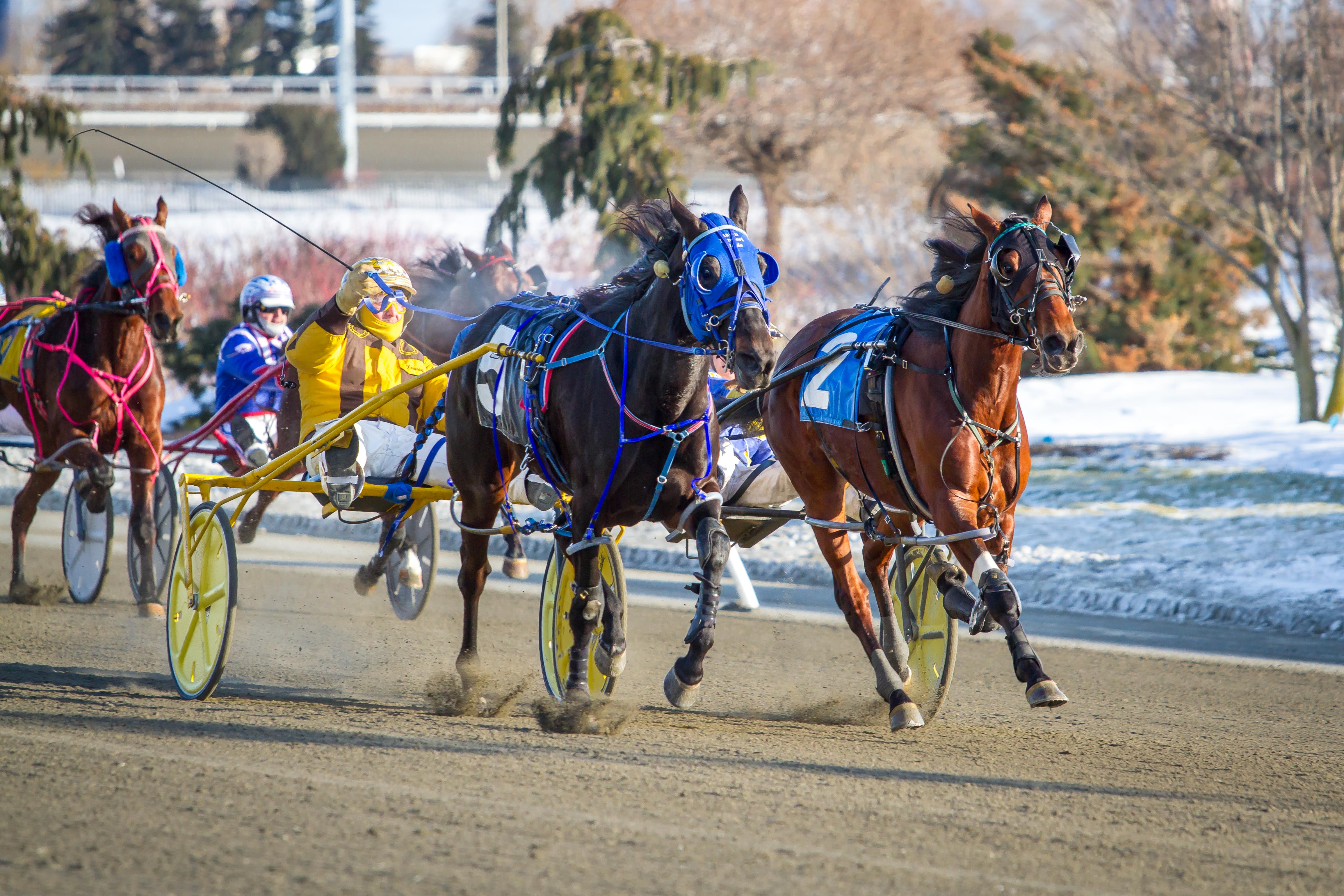 Ontario Racing Trivia Contest: Week 5