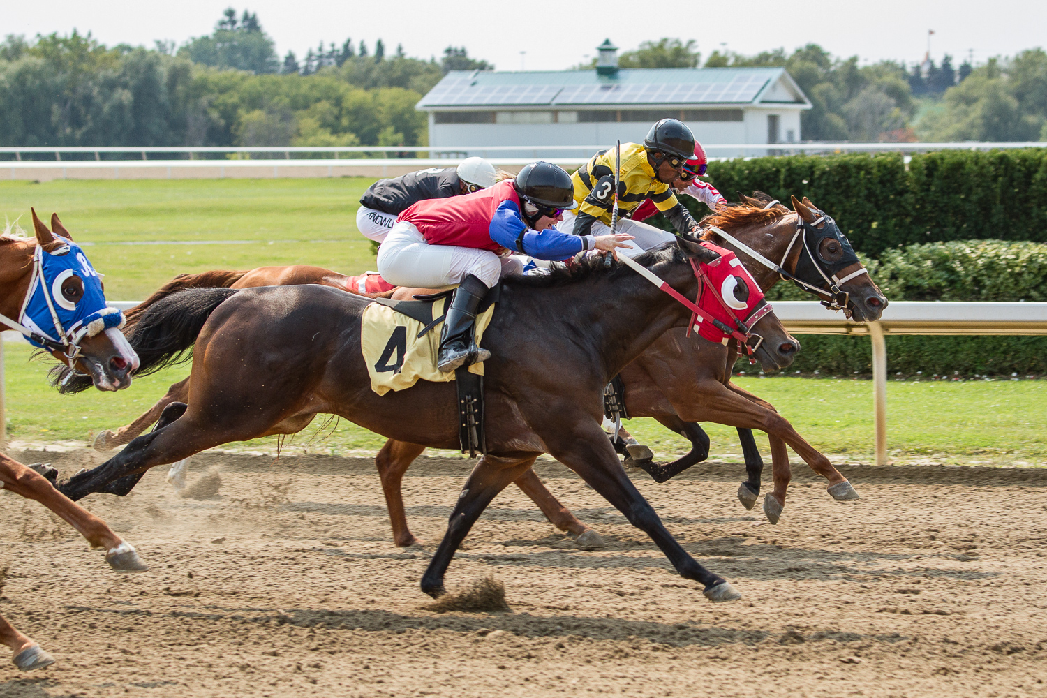 Experience the thrill of ownership!