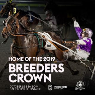 $6 Million Breeders Crown Draws 161 in Woodbine Mohawk Park Fall Championships