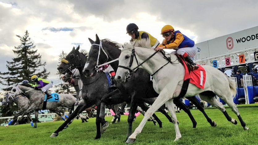 Another great Grey Day effort from Gray Phantom