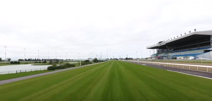 Turf racing rooted in Woodbine’s future