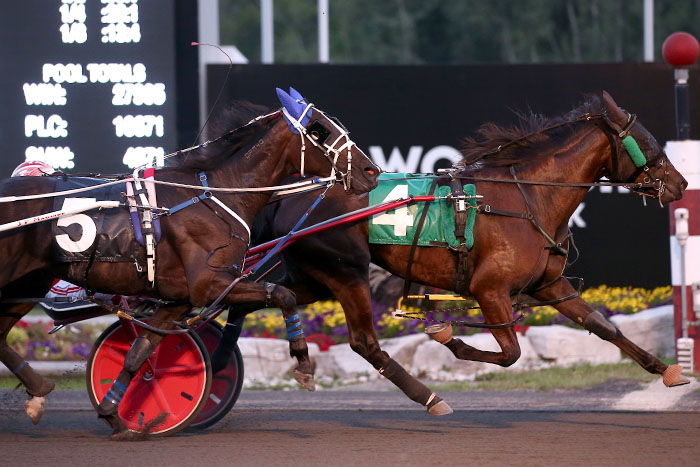 MacDonnell and his namesake score their first Gold wins