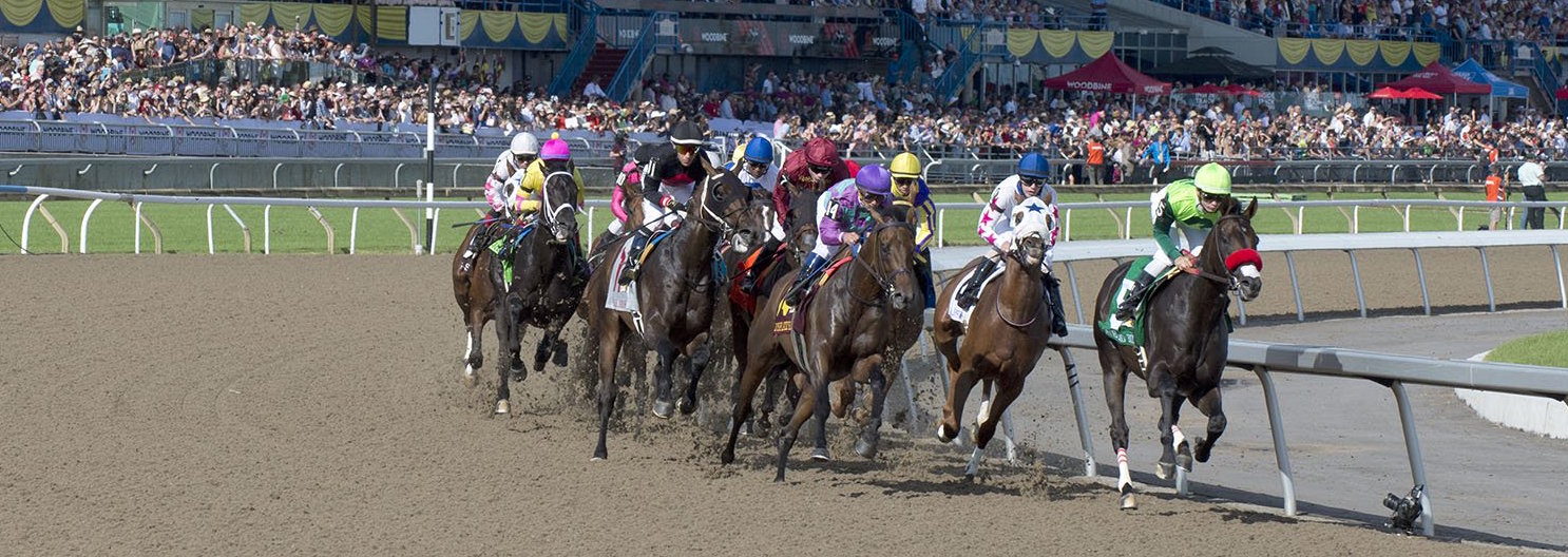 Additional tickets released for the 2020 Queen's Plate Festival