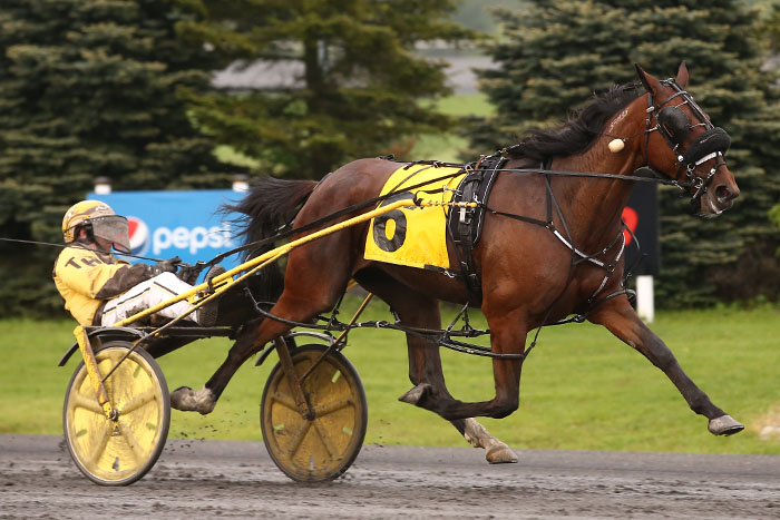 Gold Series debutantes triumph at Woodbine Mohawk Park