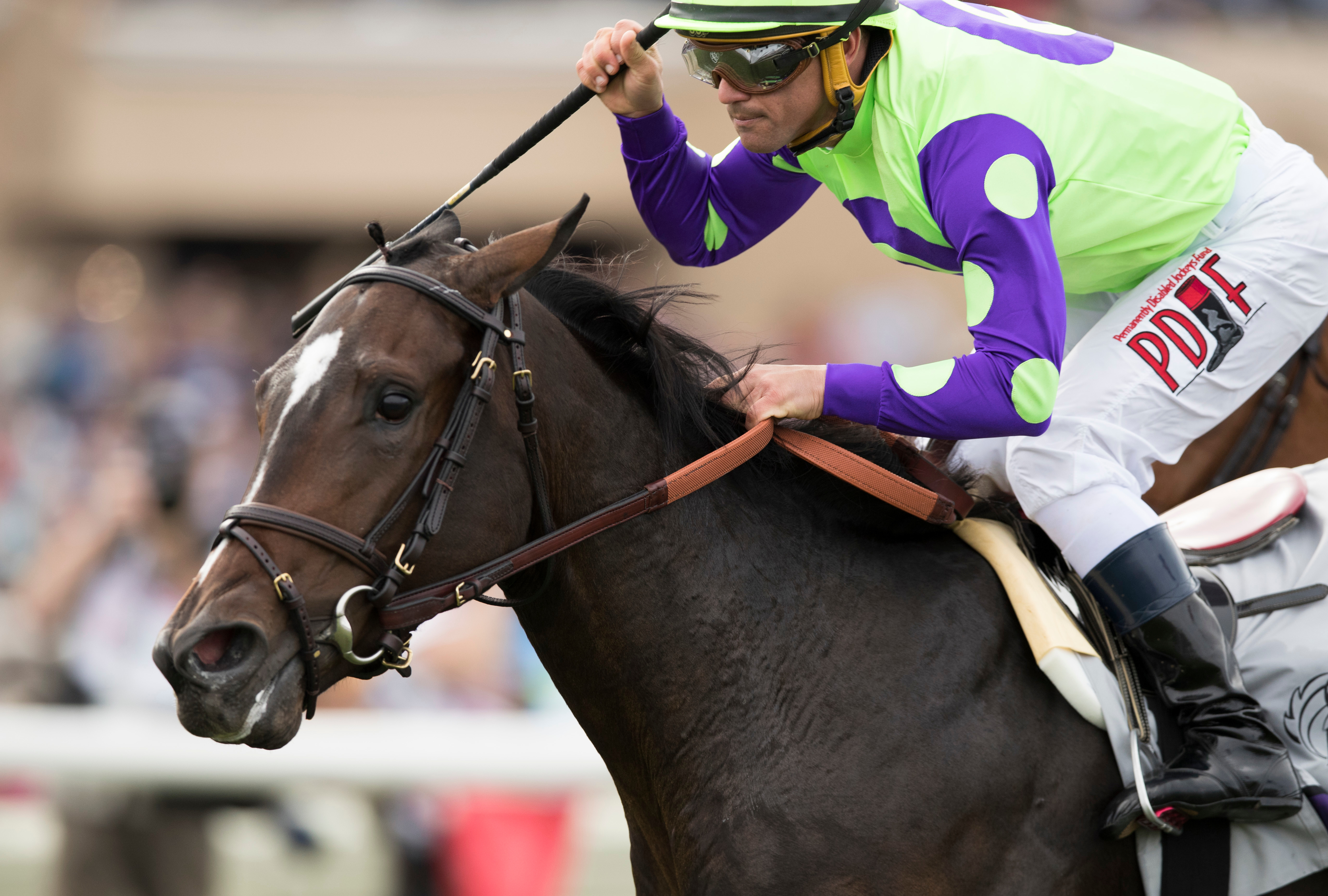 Fielding and Fipke pick up Breeders’ Cup wins
