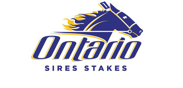 Important Reminder: 2019 OSS Yearling Nominations