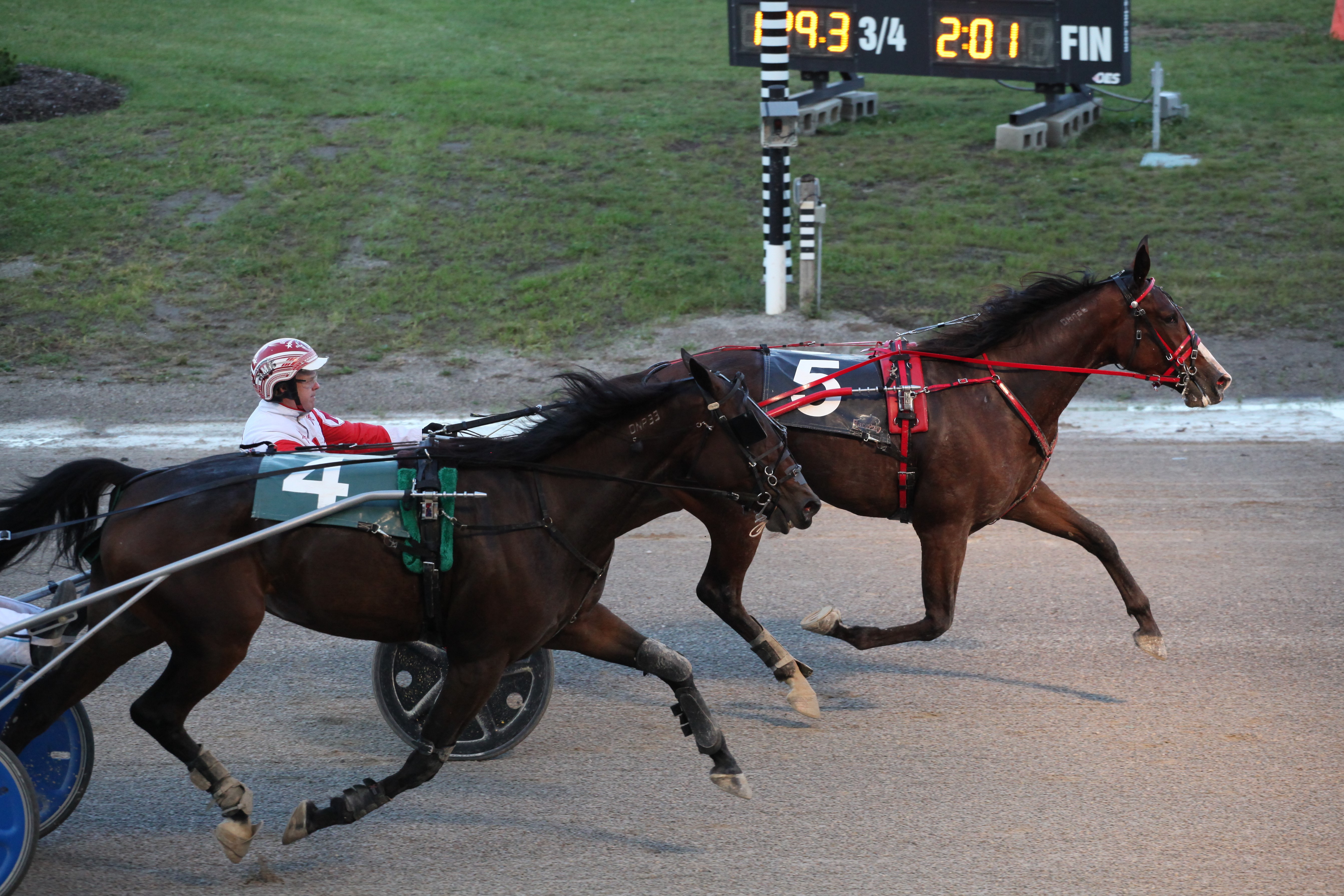 Favourites falter in trotting filly finale at The Raceway