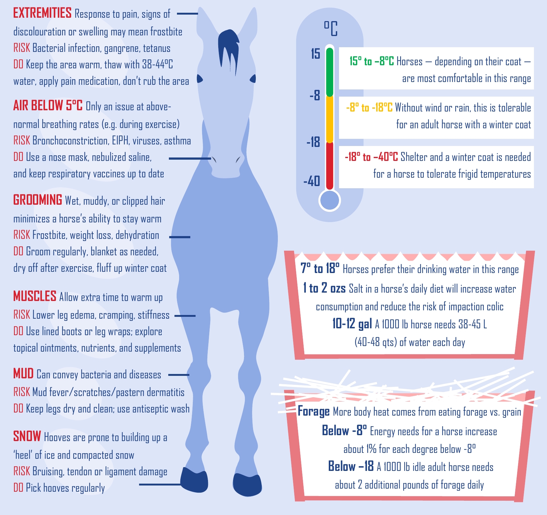 Winter racing: Groom with a view