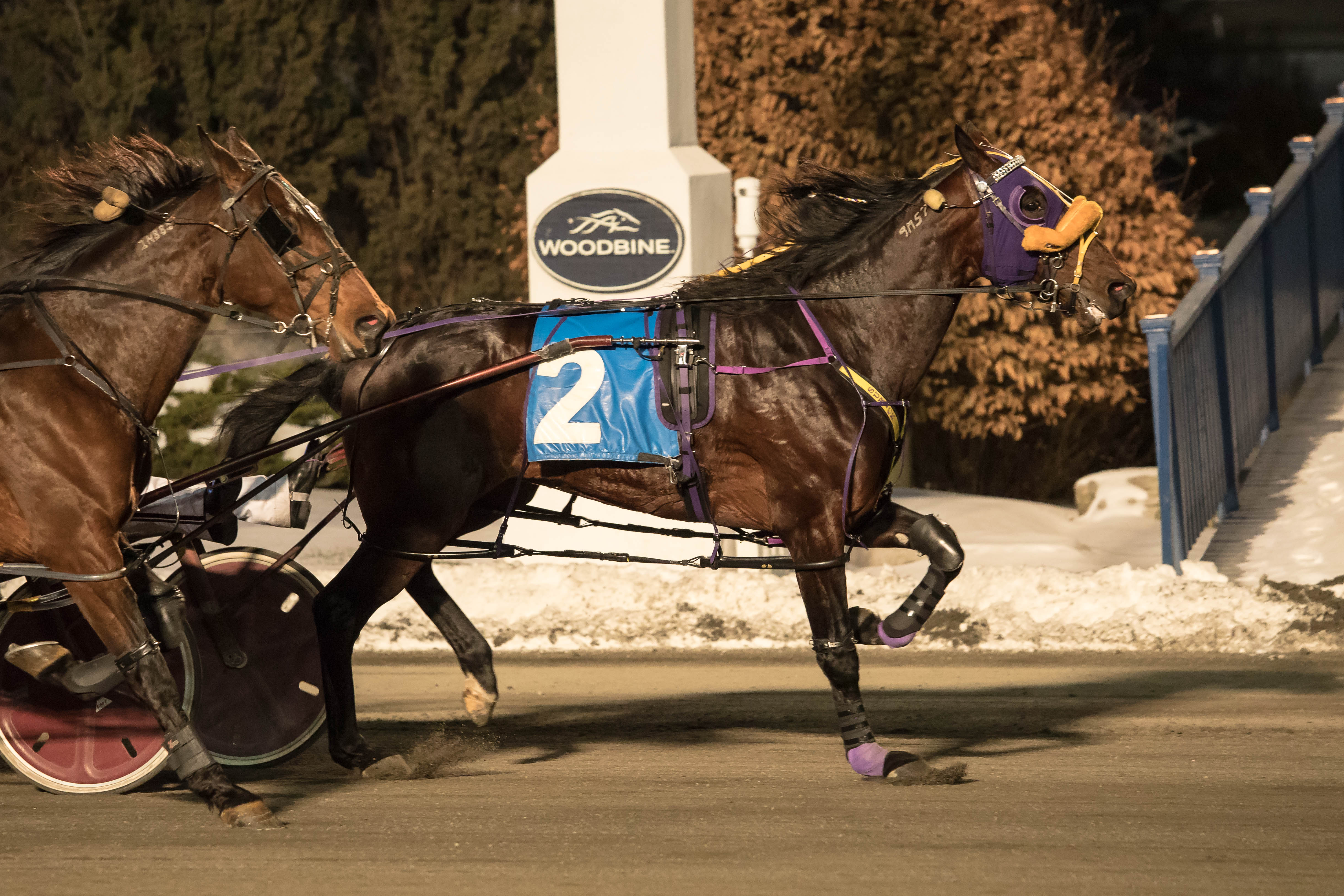 JK Pridenjoy repeats as Snowshoe Series continues