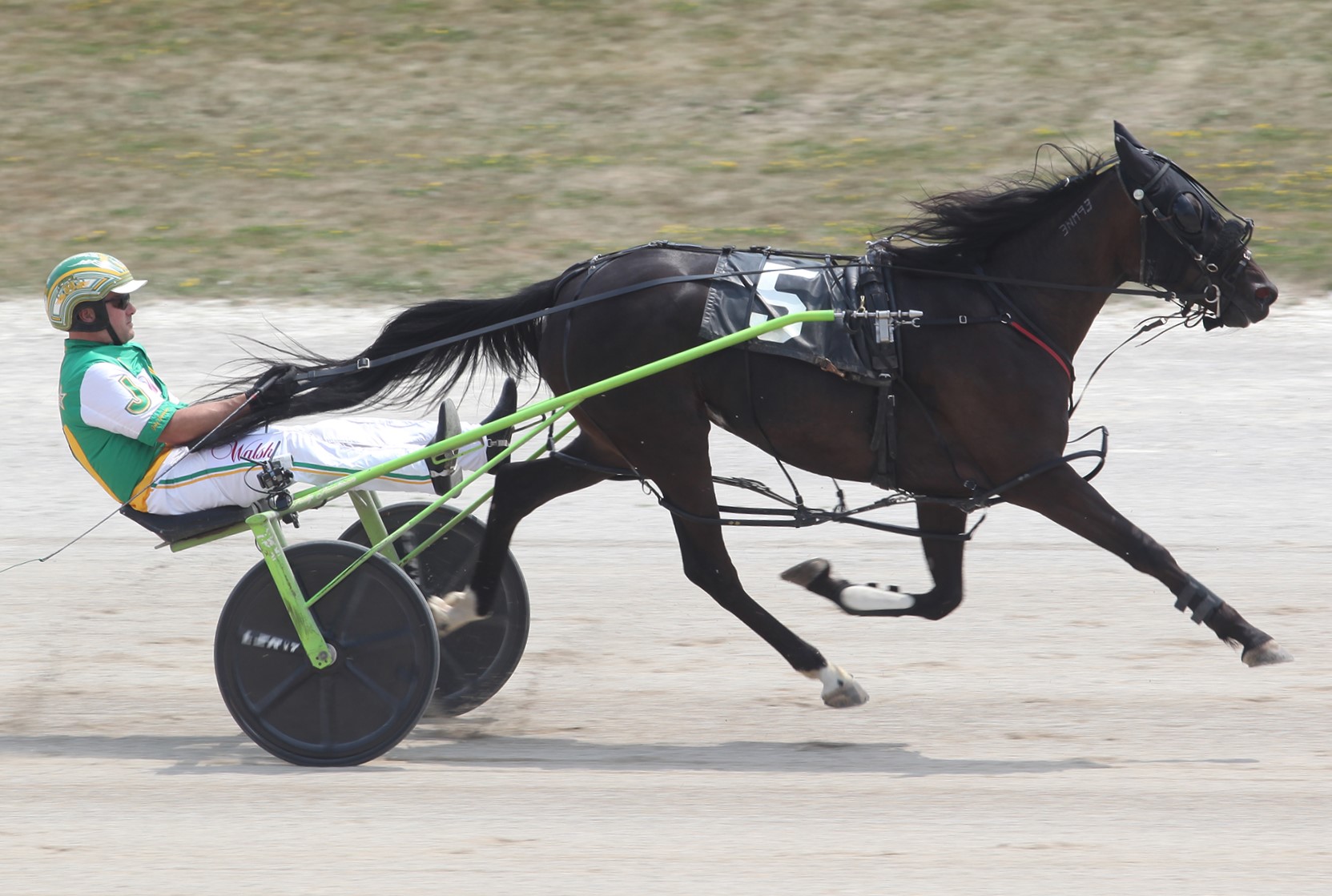 Neon Moon lowers track record on sizzling Industry Day card