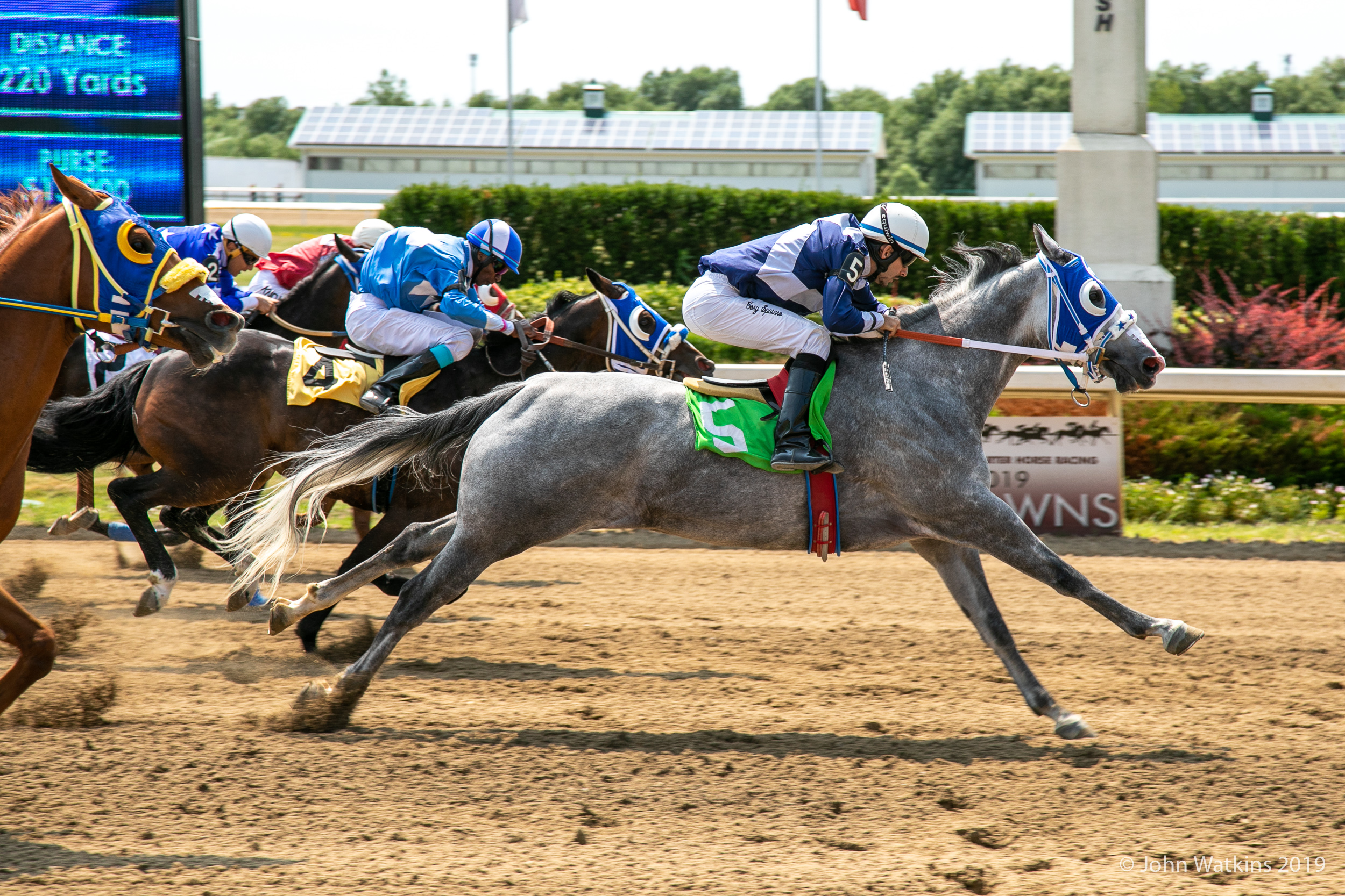 QROOI/Ajax Downs Press Release