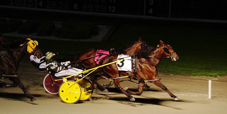 Purse increase for Flamboro and Western Fair