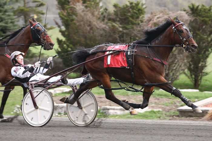 Easy Lover' makes it nine straight with career-best performance