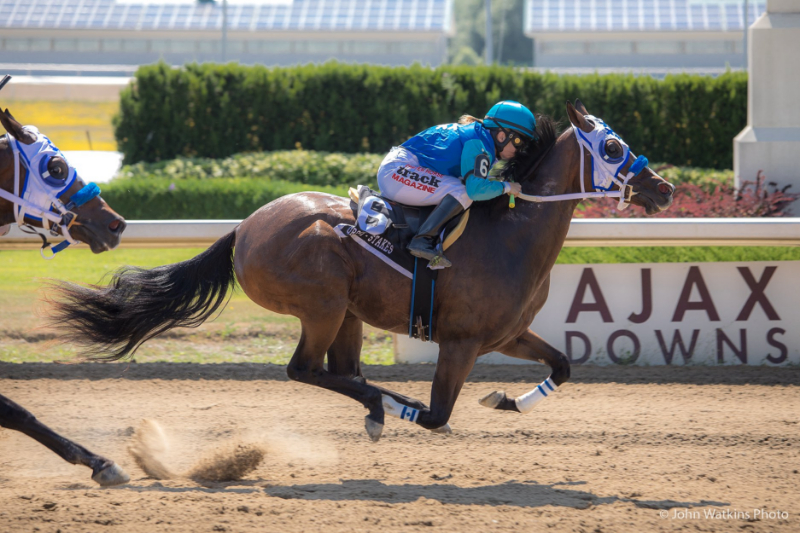 Trials for rich Alex Picov Futurity headline huge Monday racing card