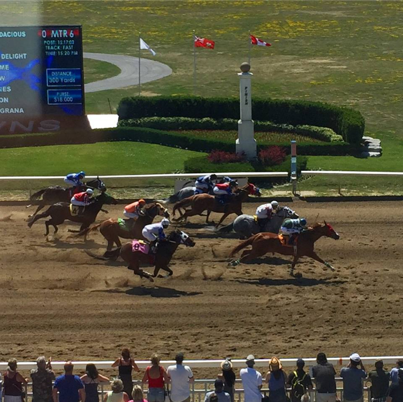 Fiesty Icon edges fab filly Ghost Pines on Patio Day at Ajax Downs