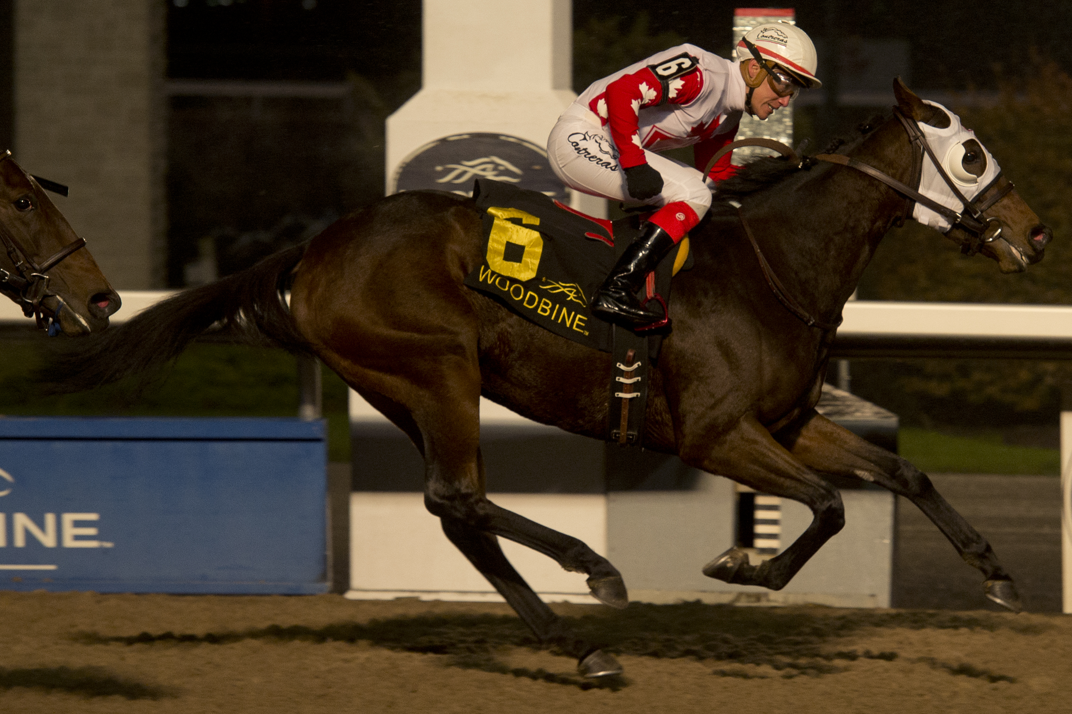 Line of Vision doubles up with South Ocean score