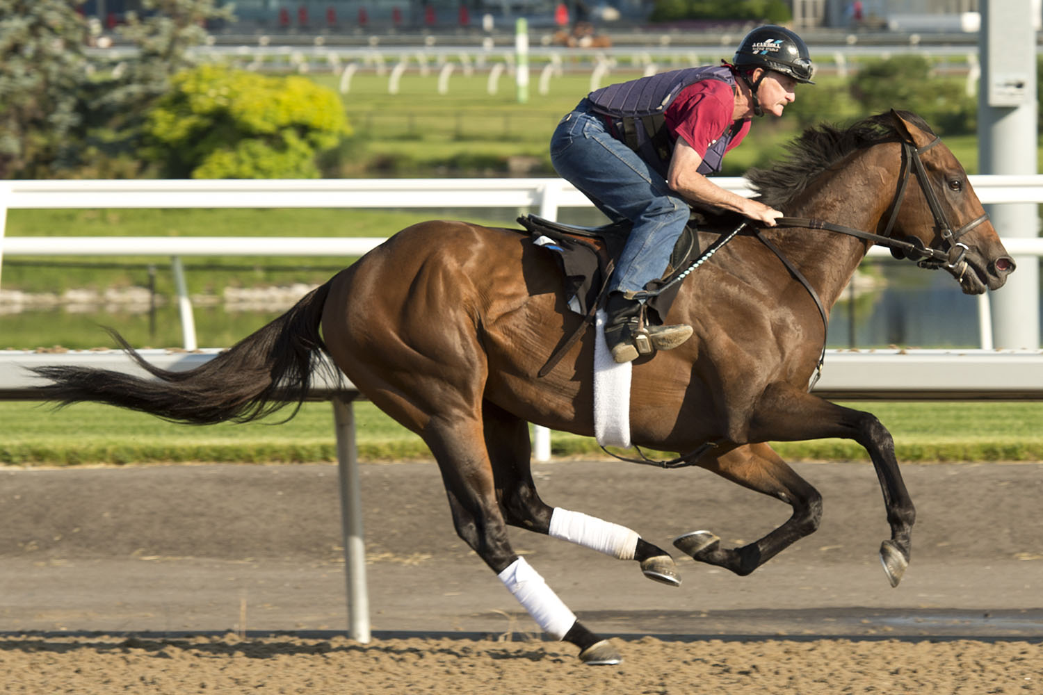 Avie's Flatters looms as the one to beat in contentious Queen's Plate field 