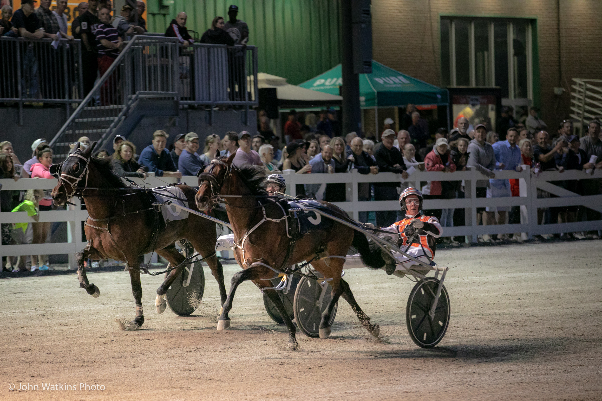 Live standardbred racing temporarily halted in Ontario; Ontario Racing to continue providing regular industry updates, news, features and more 