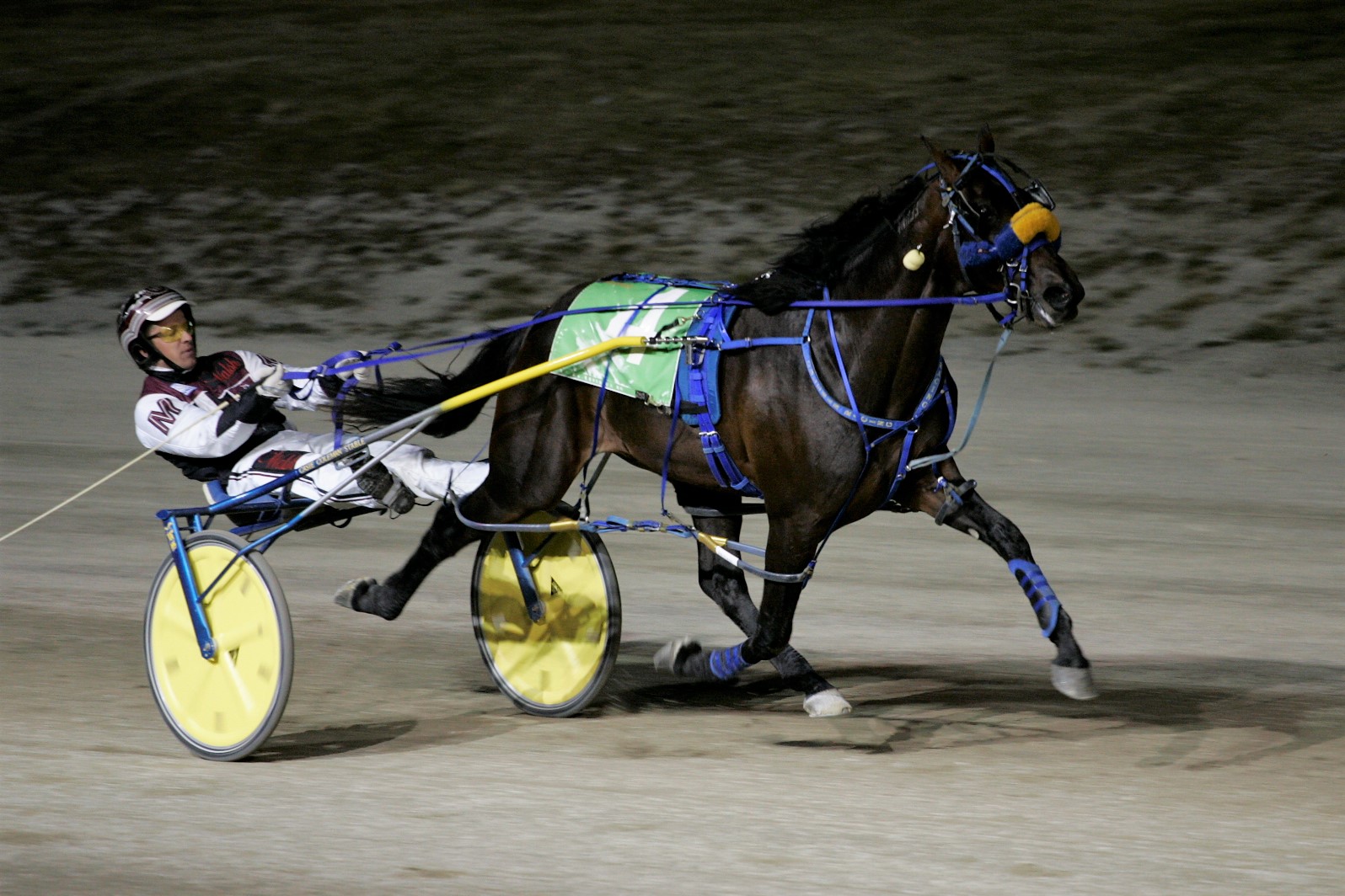 Ontario Sires Stakes stars debut on Confederation Cup card