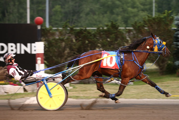 Freshman colts deliver big miles at Woodbine Mohawk Park