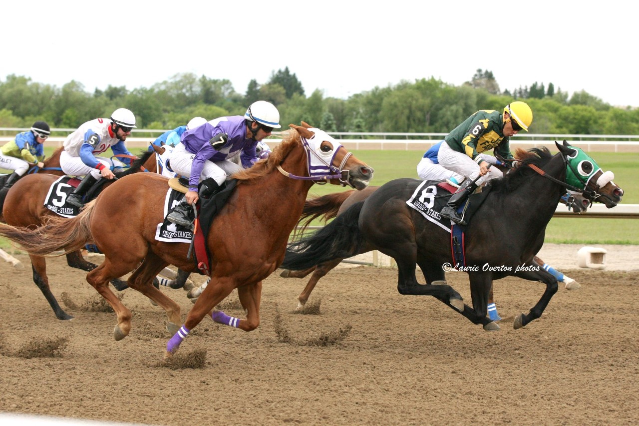 Picov Derby Trials highlight Monday racing at Ajax Downs