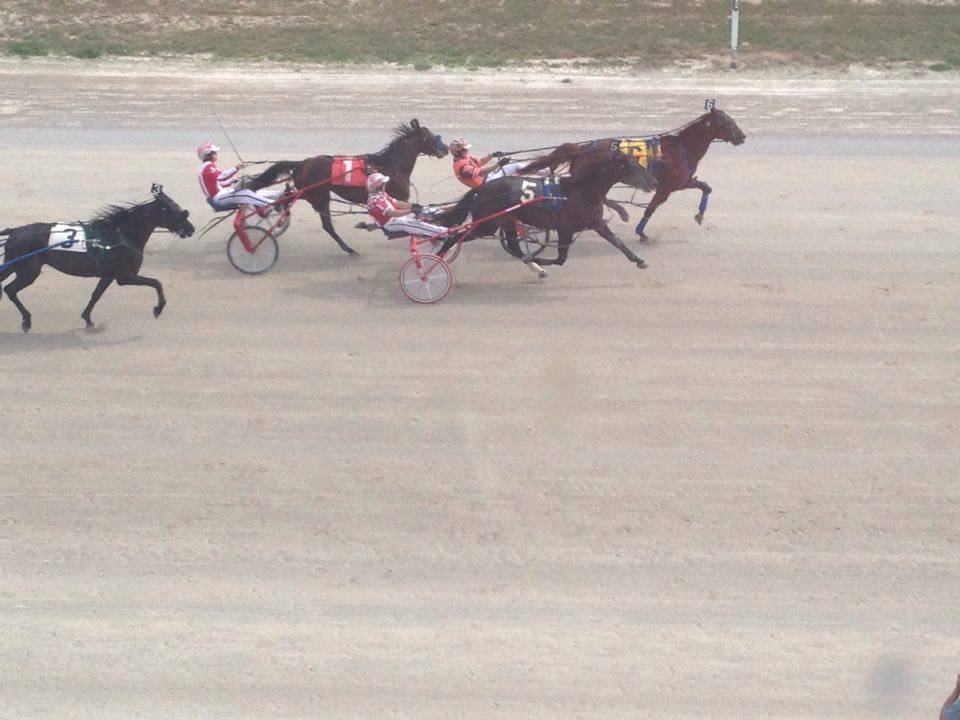 Grand Bay on a roll in Dresden's Mark Austin Pacing Series