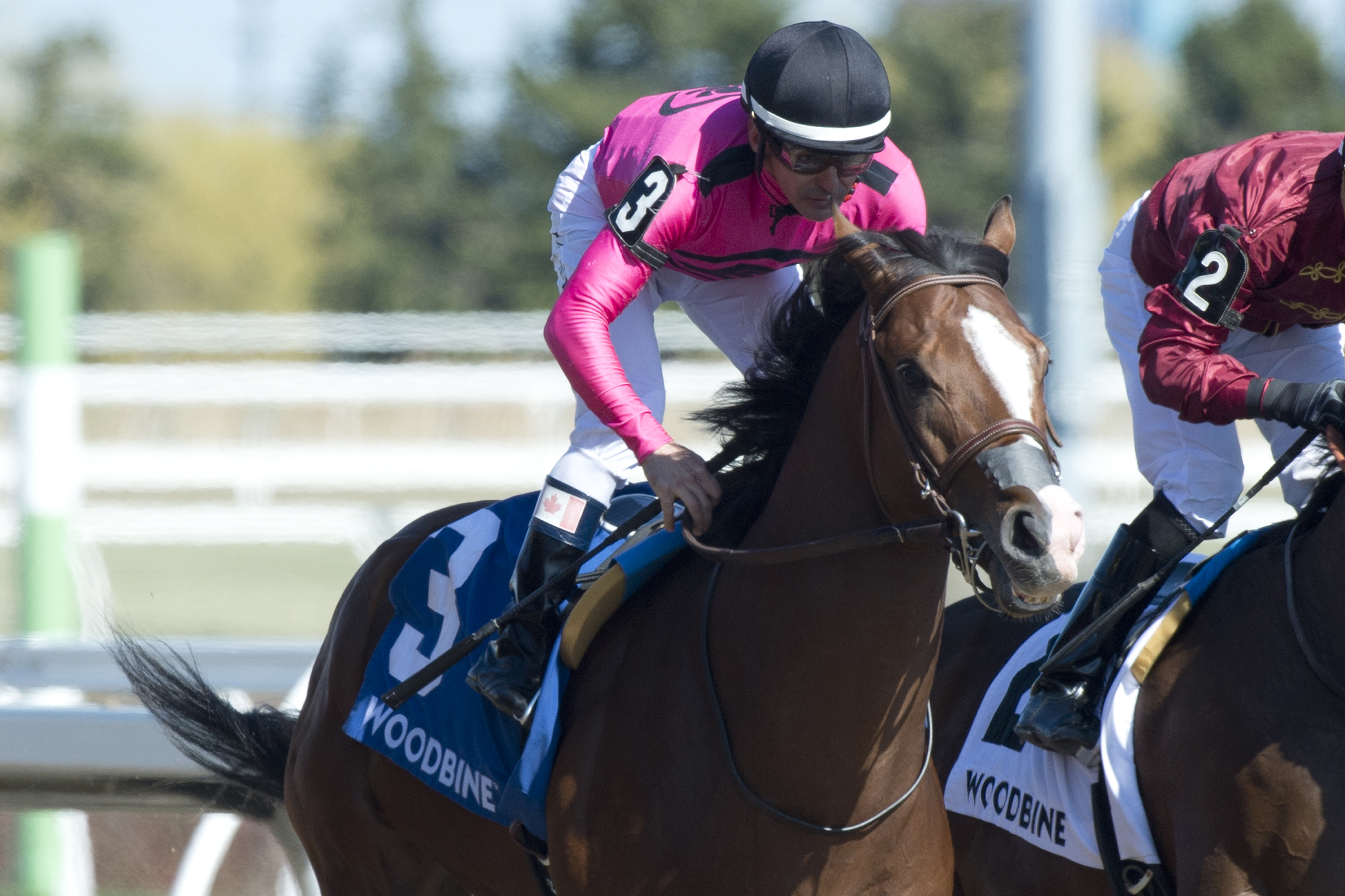 Da Silva caps off a perfect six-win day in the Wando Stakes