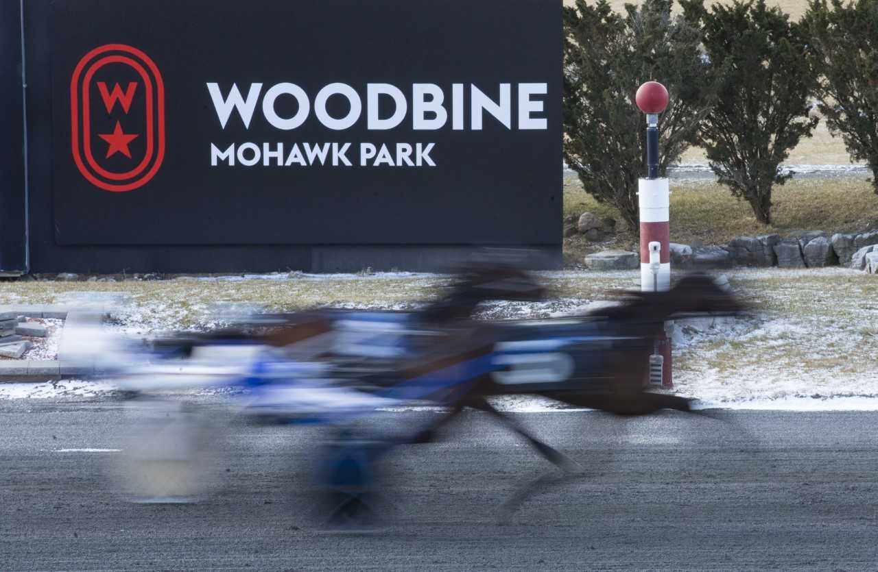 Breeders Crown To Return In 2019 To Woodbine Mohawk Park