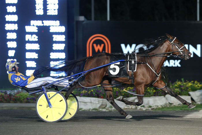 Pretty Handsome in position to repeat as Grassroots champ