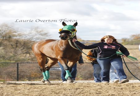 Quarter Horse Style - Friday's For the Love of Racing