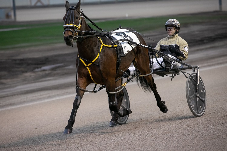 Coulter Ready For Battle With Live Racing Set To Return In London