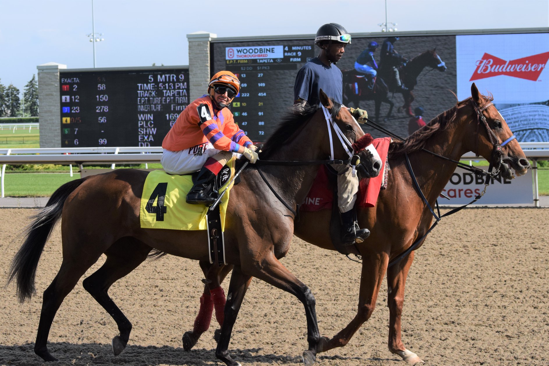 Woodbine launches new Power Pick 6 wager