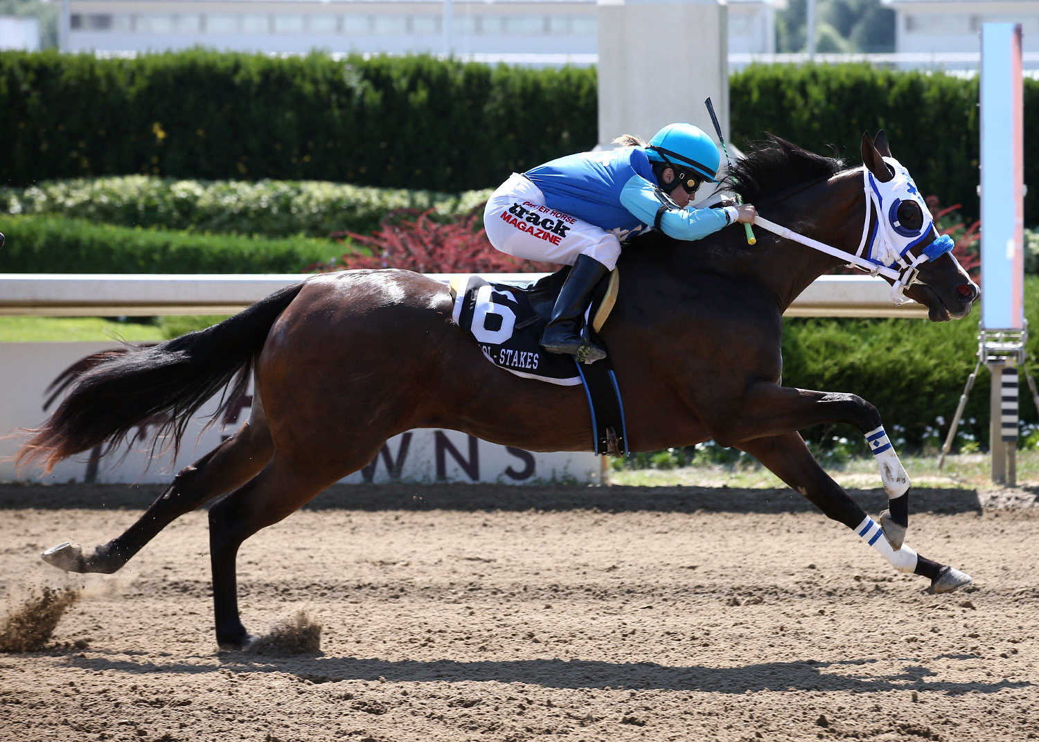 Stripper Dust Notches Futurity Win
