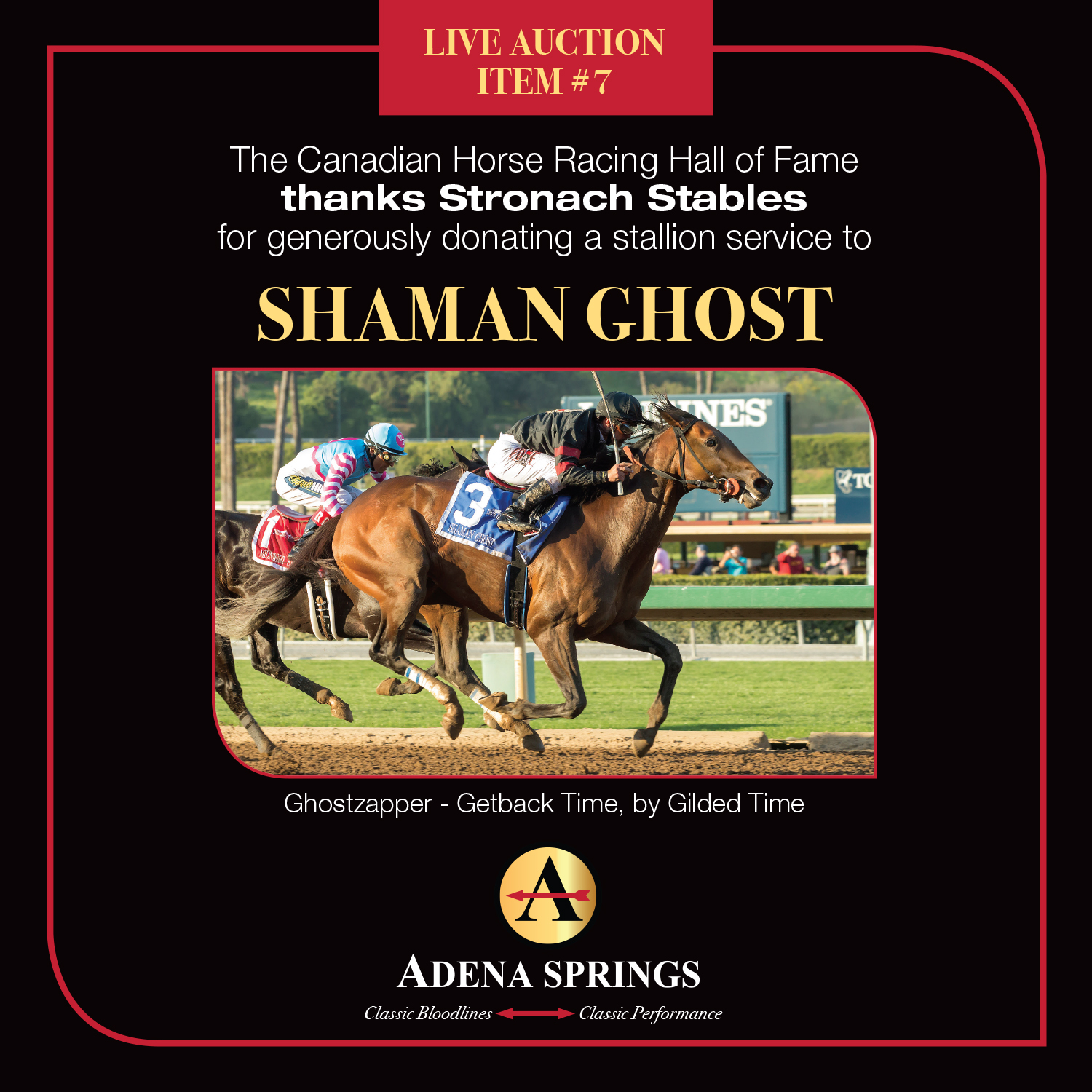 Adena Spring Donates 8 Stallion Seasons to Canadian Horse Racing Hall of Fame Induction Gala Auction