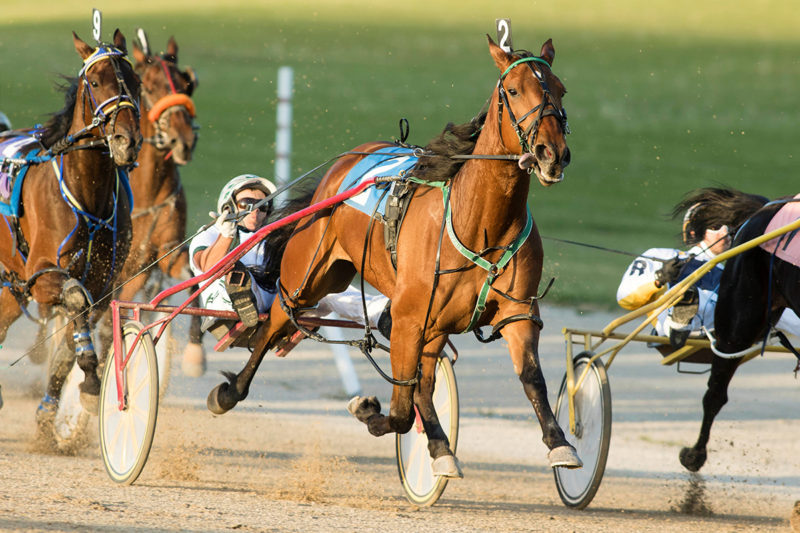 Confederation Cup & Battle of Waterloo/Belles included in Woodbine stakes payment suspension