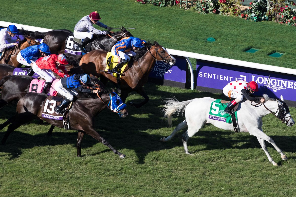Woodbine Mile champ World Approval victorious in Breeders’ Cup Mile / Ami’s Mesa a gutsy second in Breeders’ Cup thriller 